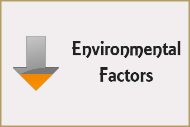 Seed Deterioration - Environmental Factor