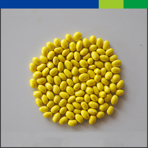 SOYBEAN GM19