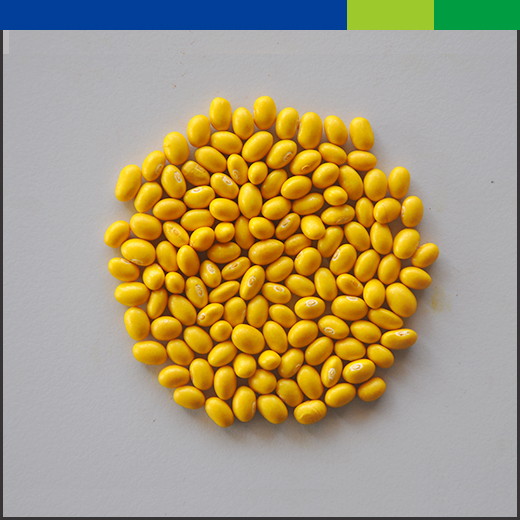 SOYBEAN GM14