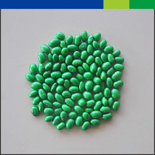 SOYBEAN GM25