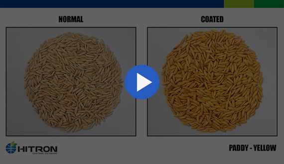 Seed Coating - Paddy